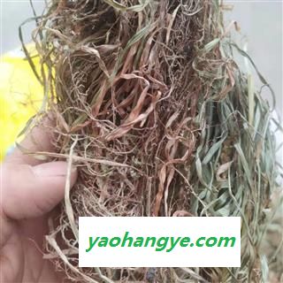 去泥手选，金线吊白米 小肺筋草（毽子草，瞿麦草），泡茶健康饮料，凉茶食材图1
