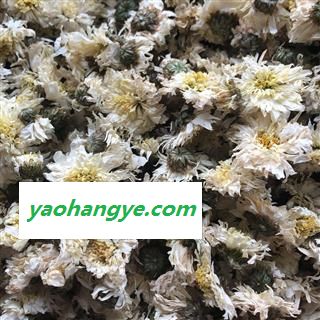 菊花 贡菊  黄山甜贡菊 正品 产地 安徽省 买好药找娟子图1