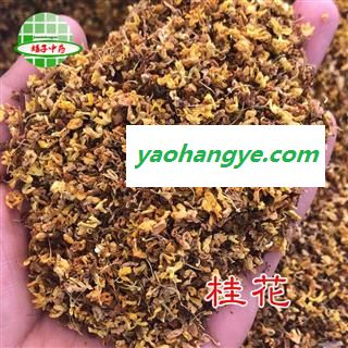 桂花 桂花 产地 安徽省 买好药找娟子图1