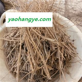精选一级土柴胡   芦头一公分去细毛精选   质地、加工度、皮色全部精选   甘肃省陇南市宕昌县图1
