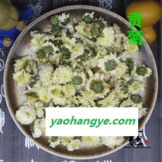 贡菊 泡水喝 甜贡菊 产地 安徽省 菊花图1