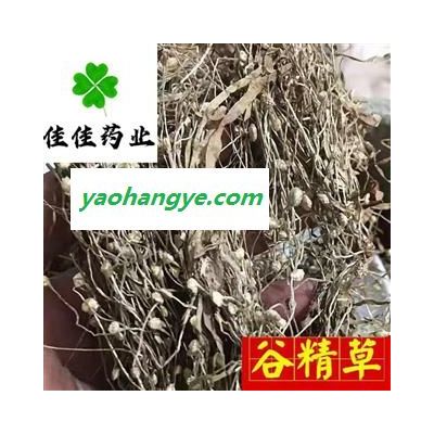 谷精草 好统 产地 湖南省 正品 新货 供应各类中药材 冷背货 矿石等