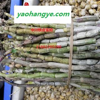 极品铁皮石斛鲜条  保健佳品 口感清香，粘性强，无渣，断面平坦，无纤维，石斛多糖含量高，正宗..图1