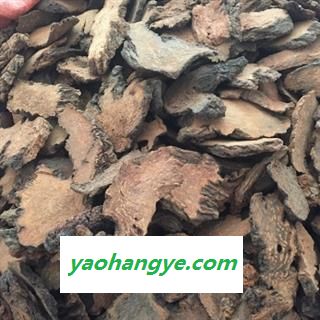 诺源药材行正品锁阳 优质选货 另有肉苁蓉图1