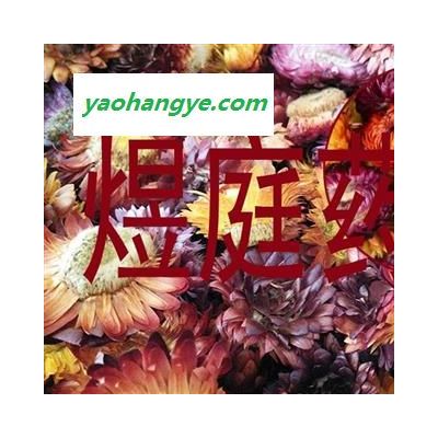 煜庭药业 七彩菊 菊花 七彩菊花 正品