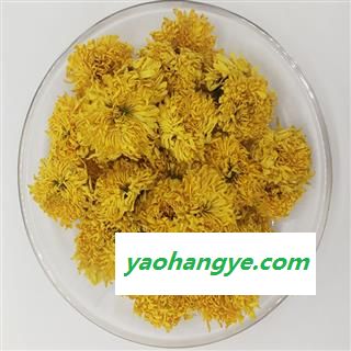 煜庭药业 菊花 黄菊 皇菊图1
