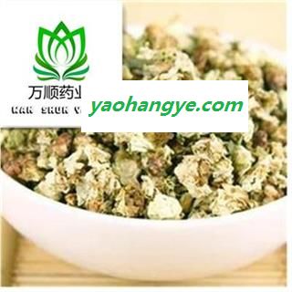 精品白梅花选货 绿噩梅 质量好 价格低  产地 安徽省图1