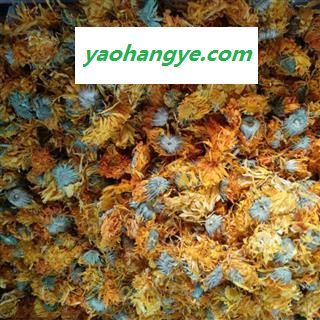 新辉药业优质花茶金莲花  新货无硫图1