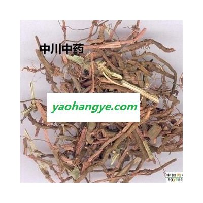 茜草  山西精选全根   库存50000可售