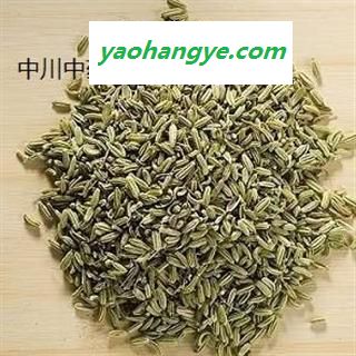小茴香，甘肃一级统货，库存5000可售图1