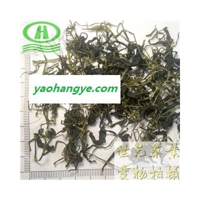 世元药业 绞股蓝 野茶饮级 精选