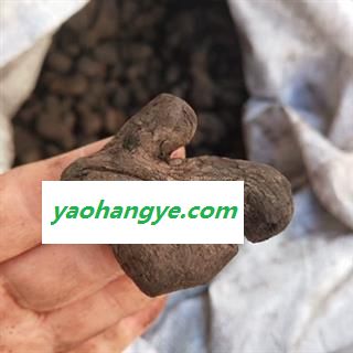 诺源药材行优质炮姜炭 干姜 姜片多种规格齐全图1