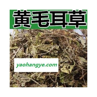 小丽百草行石打穿  铜眼狮 地坎风 铺地蜈蚣 山蜈蚣 过路蜈蚣 串地蜈蚣 白山茄 落地蜈蚣 摊地蜈蚣 黄毛耳草 黄毛尔草