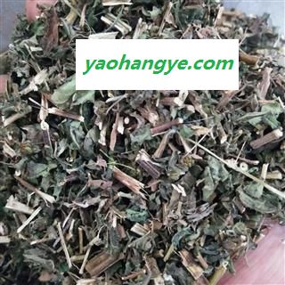 豨莶草 豨莶草统段 产地 山东省图1