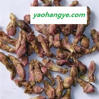 冬花 款冬花统货产地 甘肃省图1