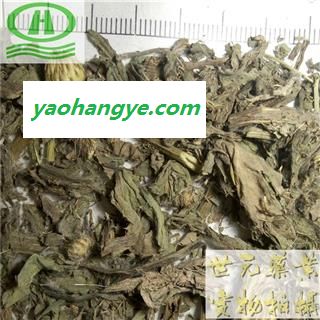 世元药业 小蓟 精选 别称-刺儿菜 批发各类中药材图1
