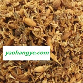 小丽参茸行  佛手花 佛柑花图1
