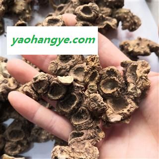 诺源药材行中药材八角莲  独角莲 独叶一枝花   一碗水图1