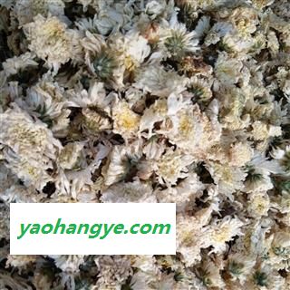 新辉药业优质杭菊 精选花茶图1