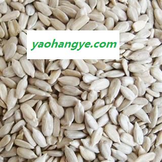 圣草康园葵花子葵花籽仁葵花子仁生无壳瓜子仁 瓜子米原味瓜仁图1