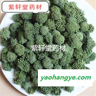 三七花 两年生三七花无柄小选货 产地 云南省图1