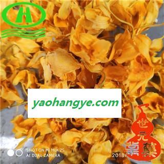 世元药业 石斛花 正品 鼓槌石斛花 天然优质 特级无污染图1