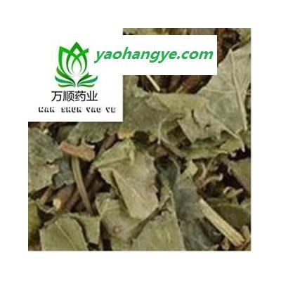 精品矮地茶选货 平地木 质量好 价格低 产地直销  产地 湖南省