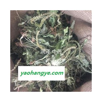 【车前草】【润泽中药】中药材批发供应 规格齐全 量大从优