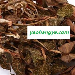 京辉药业 金线莲 金线兰 正品 零售 批发图1