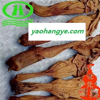 世元药业 凌霄花 正品 烘干 紫葳 红花倒水莲 倒挂金钟 上树龙 堕胎花 藤萝花图1