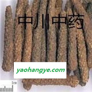 荜茇  海南一级统货  库存5000可售图1