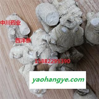 西洋参  国产短硬支10克 产地吉林  库存500可售图1