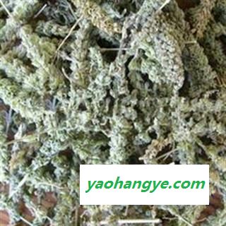 荆芥穗 荆芥穗选货 产地 河北省图1