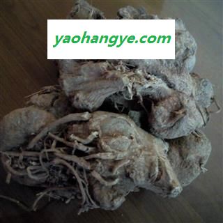 京辉药业 土三七 血三七 野生正品冷背中药材 实物拍摄图1