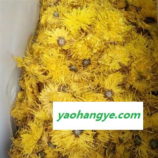 诺源药材行优质花茶菊花  金丝皇菊图1
