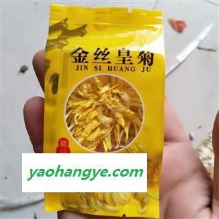 菊花 中朵金丝黄菊 产地 安徽省图1