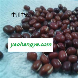 药用赤小豆   四川一级统货  库存5000图1
