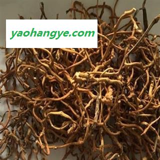 煜庭药业 鱼腥草根图1