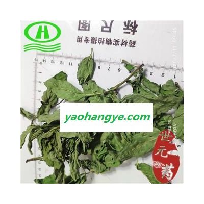 世元药业 薄荷 正品茶用级 别称 银丹草 夜息香