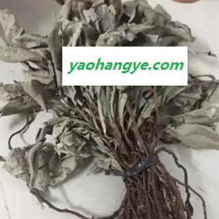 安祁名药优质野生卡琪花蒂玛 马来西亚纯天然野生图1