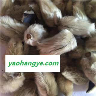 新辉药业正品无柄辛夷花 优质花茶图1