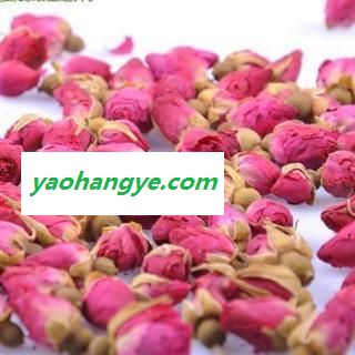 玫瑰花 山东玫瑰   产地 山东省图1