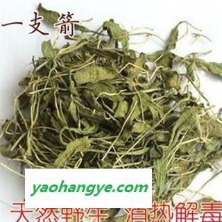 一支箭 净500克 别明青藤 蛇咬子 瓶尔小草 正品保证质量7天无理由退货退款 华安堂图1
