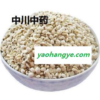 薏苡仁98米  贵州小糯米苡仁  库存5000可售图1