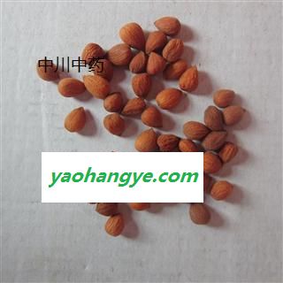 郁李仁图1