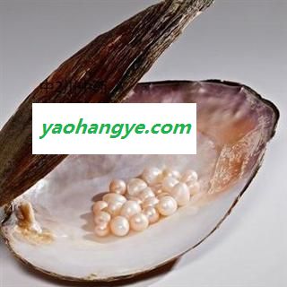 美颜珍珠图1