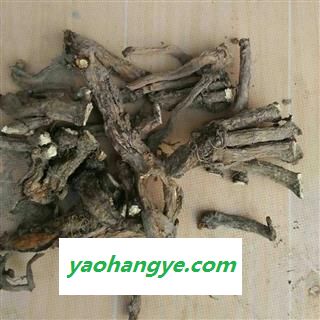 新辉药业野生蒲公英根 婆婆丁根图1