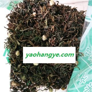 新辉药业野生蒲公英 优质花茶图1