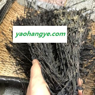新辉药业野生中药材鬼羽箭 黑草  羽箭图1