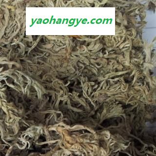 京辉药业 茵陈 新货 优质 促销 2015新货图1